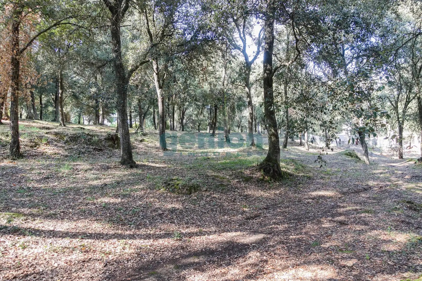 Terreno residenziale in vendita a Diseminado Afueras, imagen 12