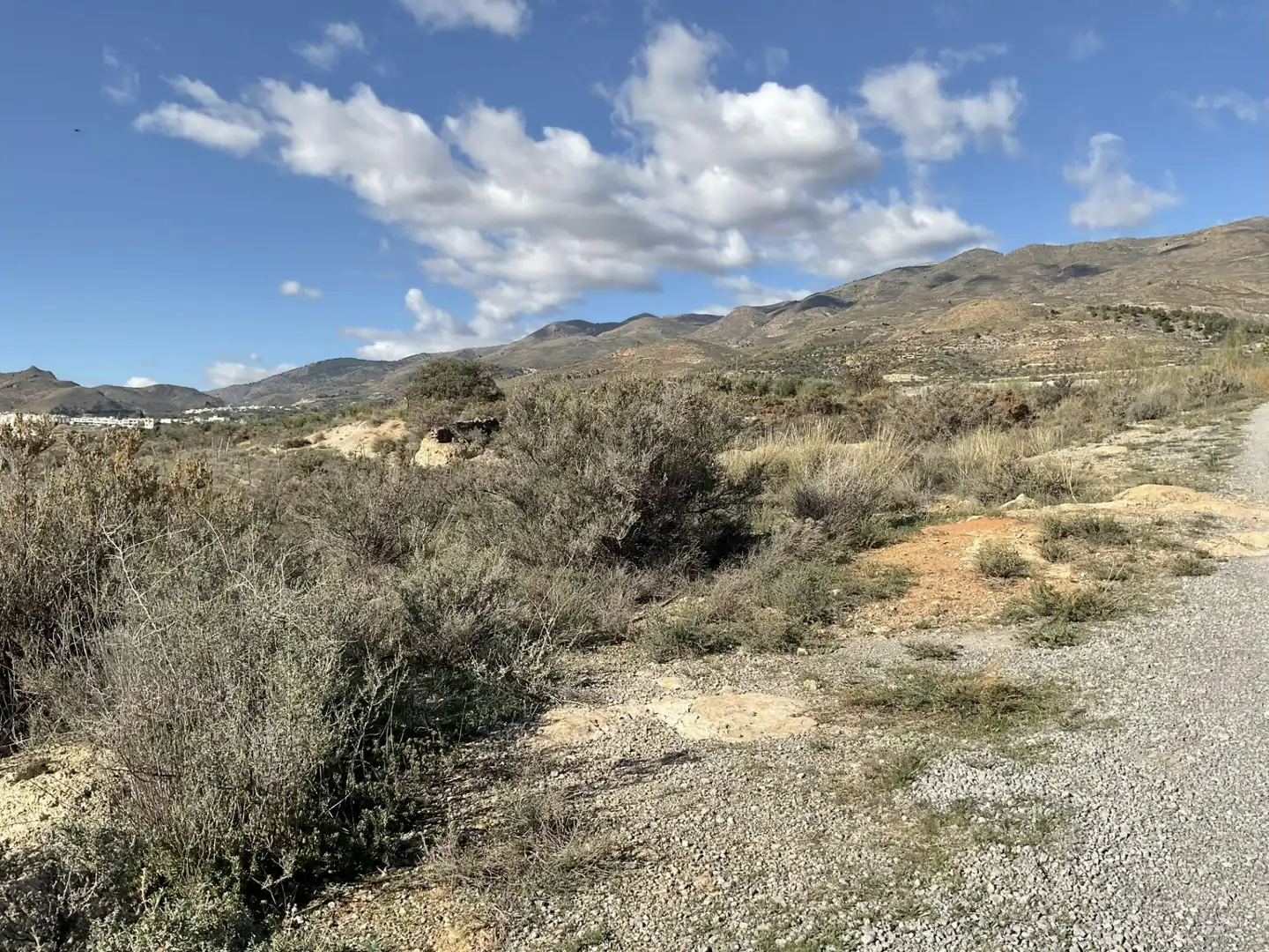 Land for sale in Padules
