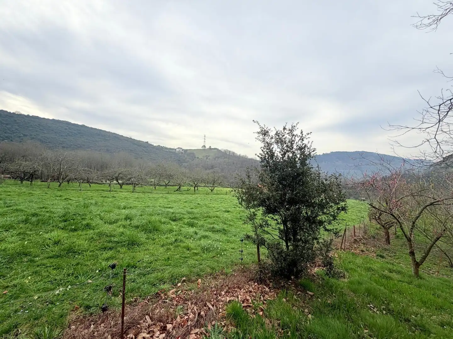 Casa o xalet en venda en Las Regueras  