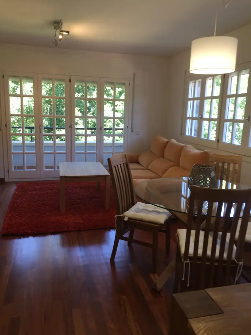 Sala d'estar de Apartament en venda en Camprodon amb Terrassa