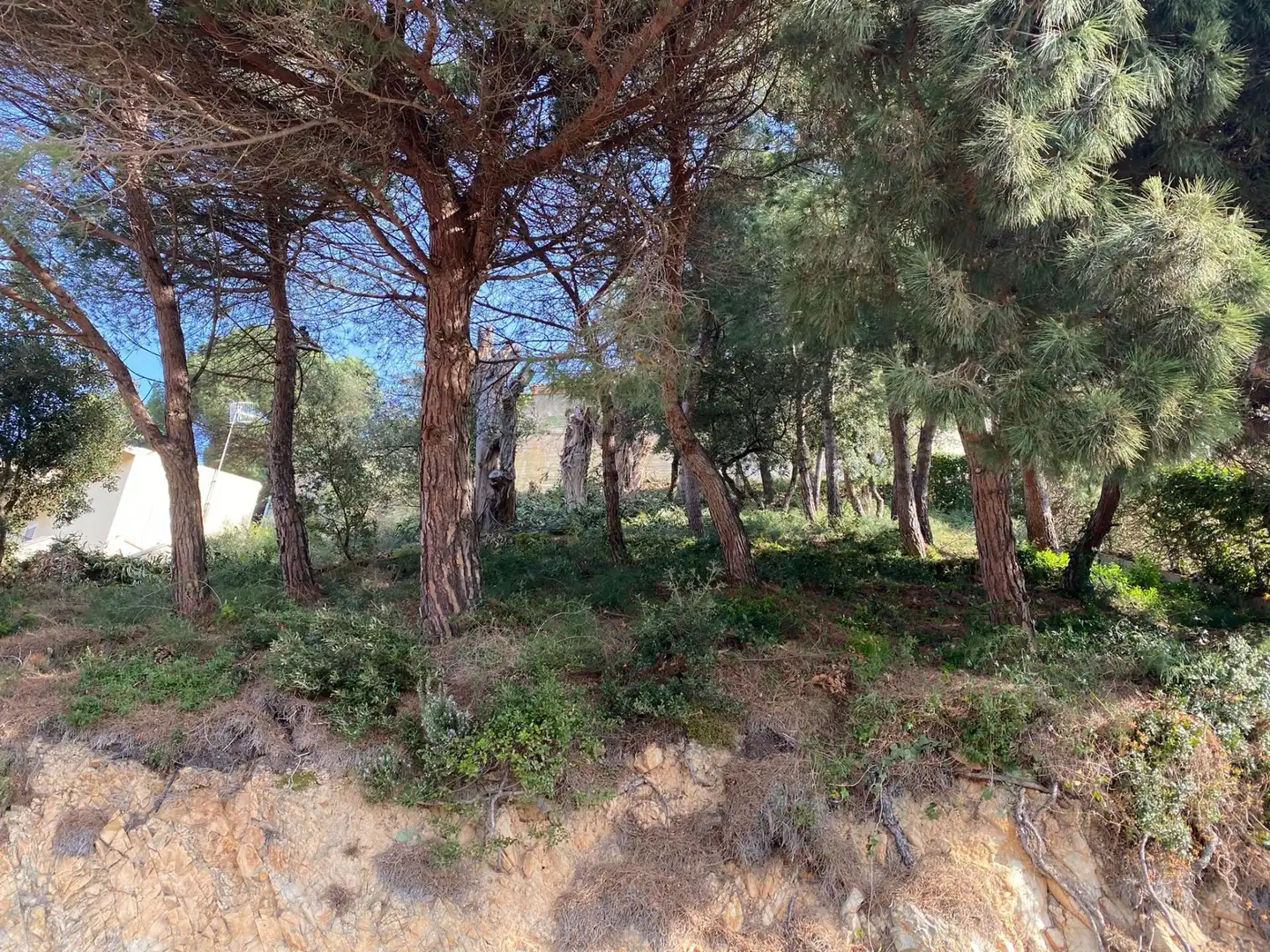 Terreno residenziale in vendita a Santa Cristina - Sant Francesc, imagen 9
