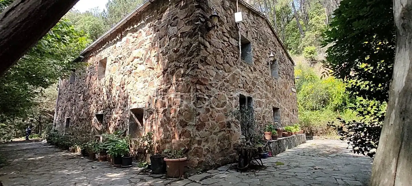 Vista exterior de Finca rústica en venta en Arbúcies con Jardín privado, Terraza y Amueblado