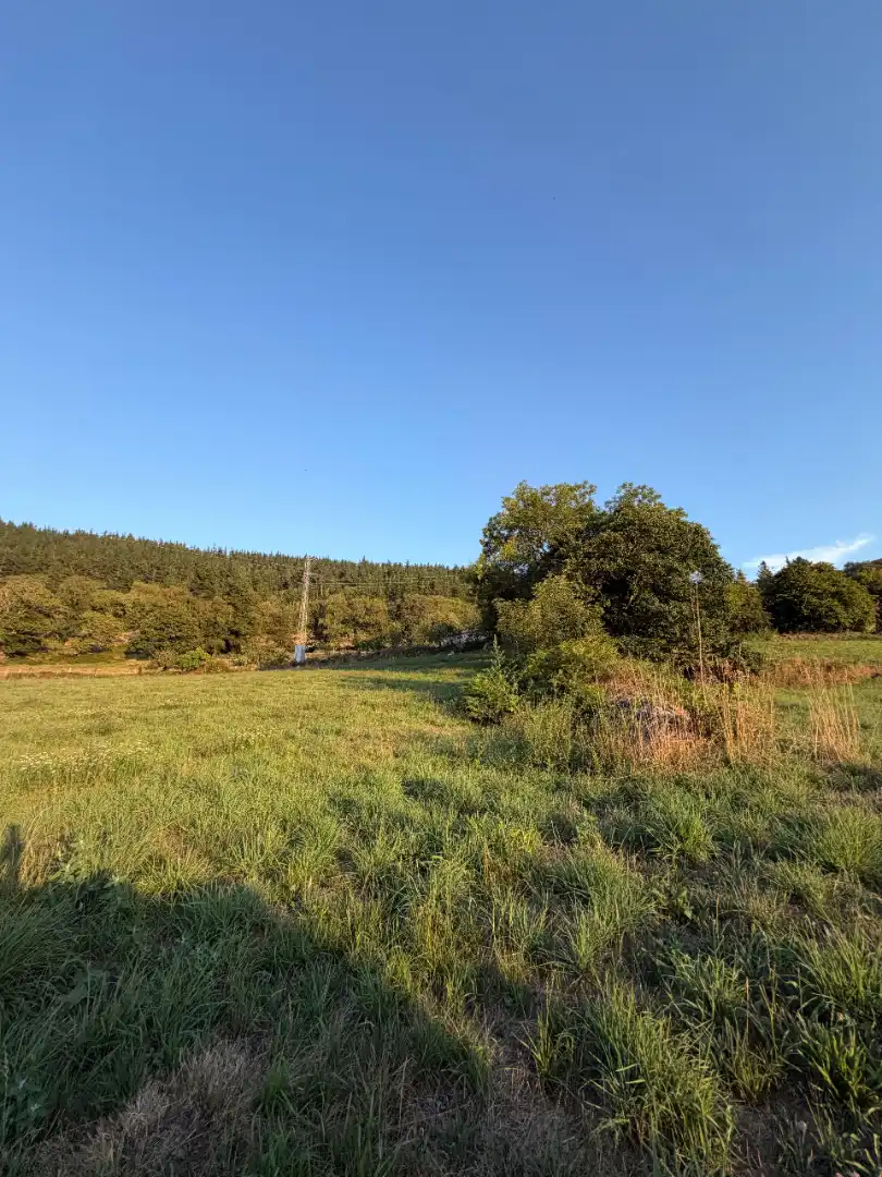 Rural land for sale in Tineo, imagen 26