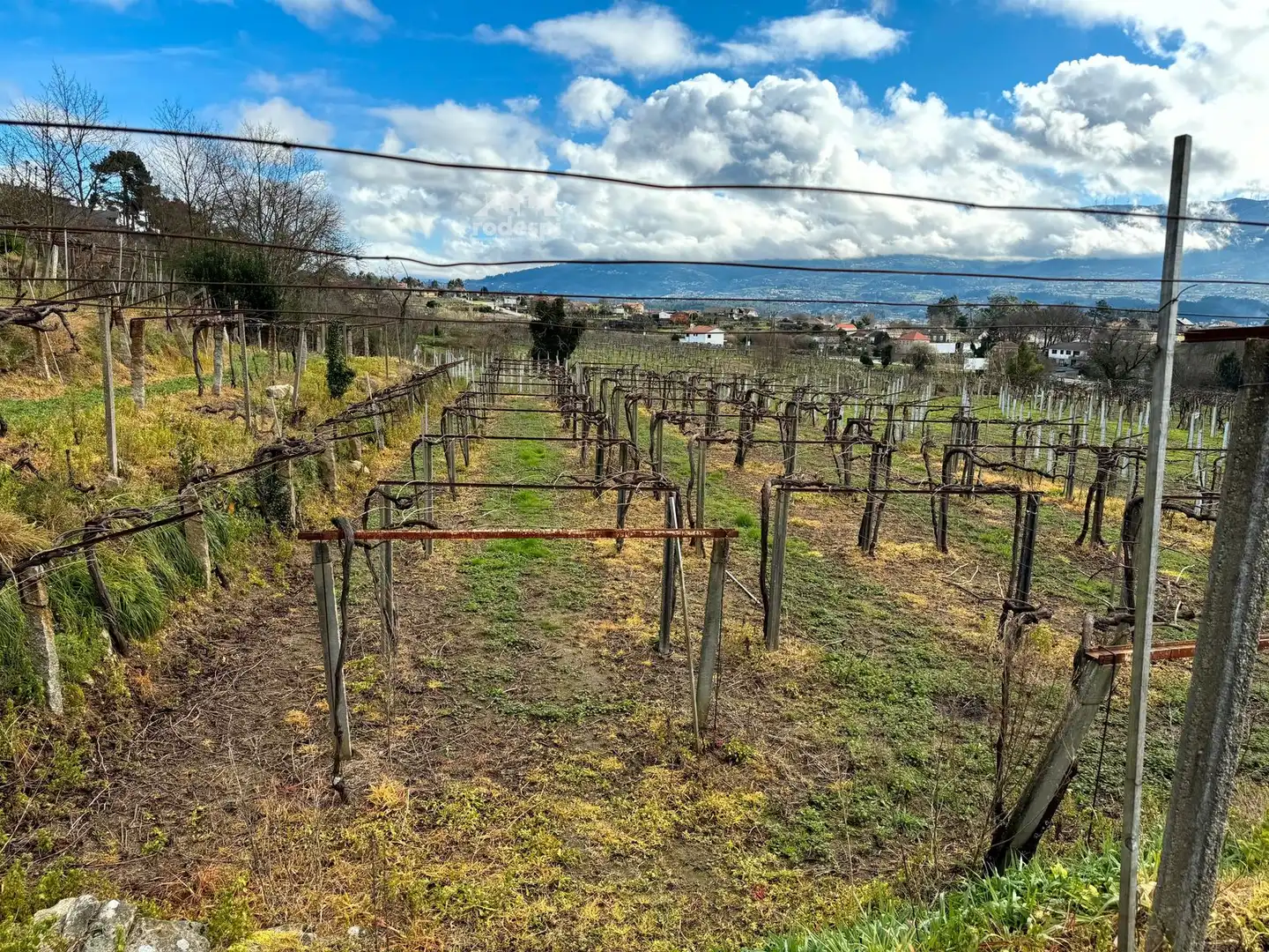 Rural land for sale in Arbo, imagen 4