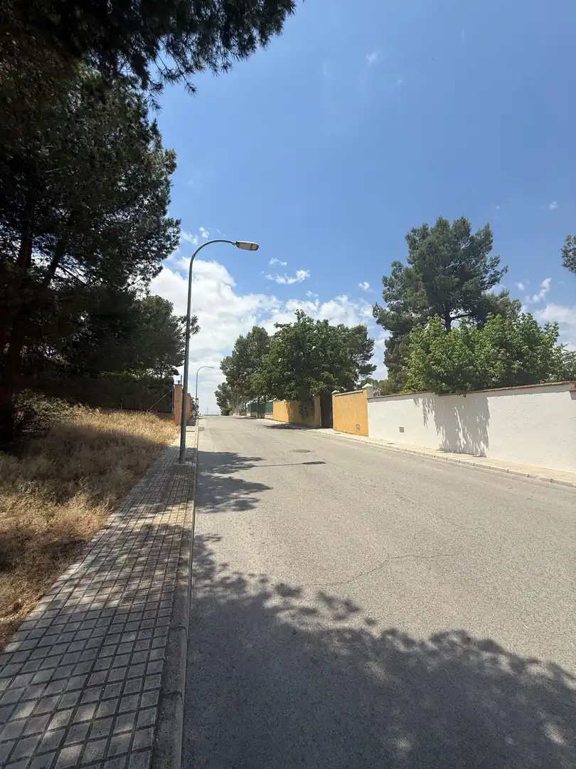 Terrenos y solares en venta en Cañada, imagen 4