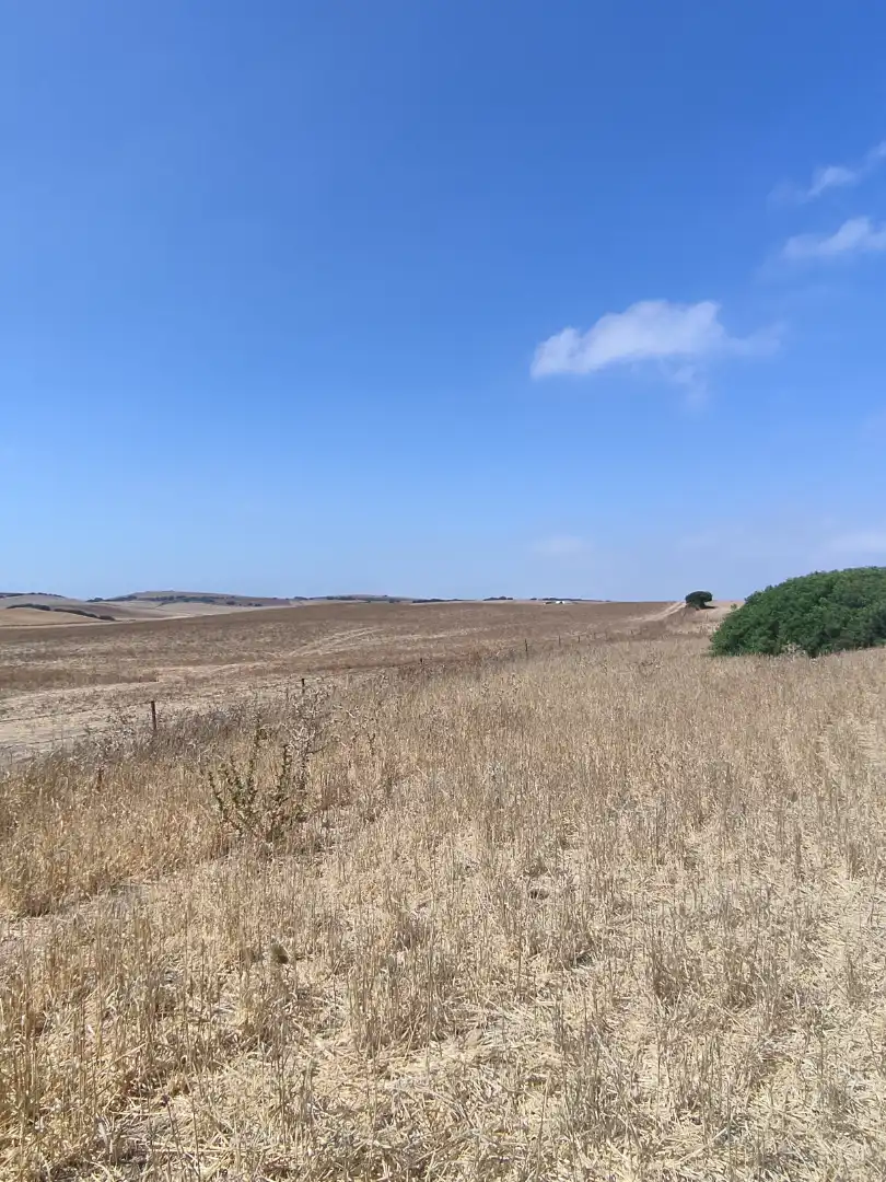 Terreni e lotti in vendita a Lugar el Berrueco, imagen 5