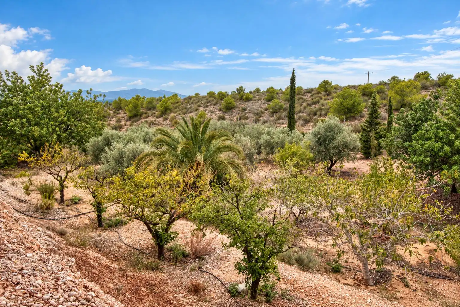 Villa à vendre à Albatera, imagen 39