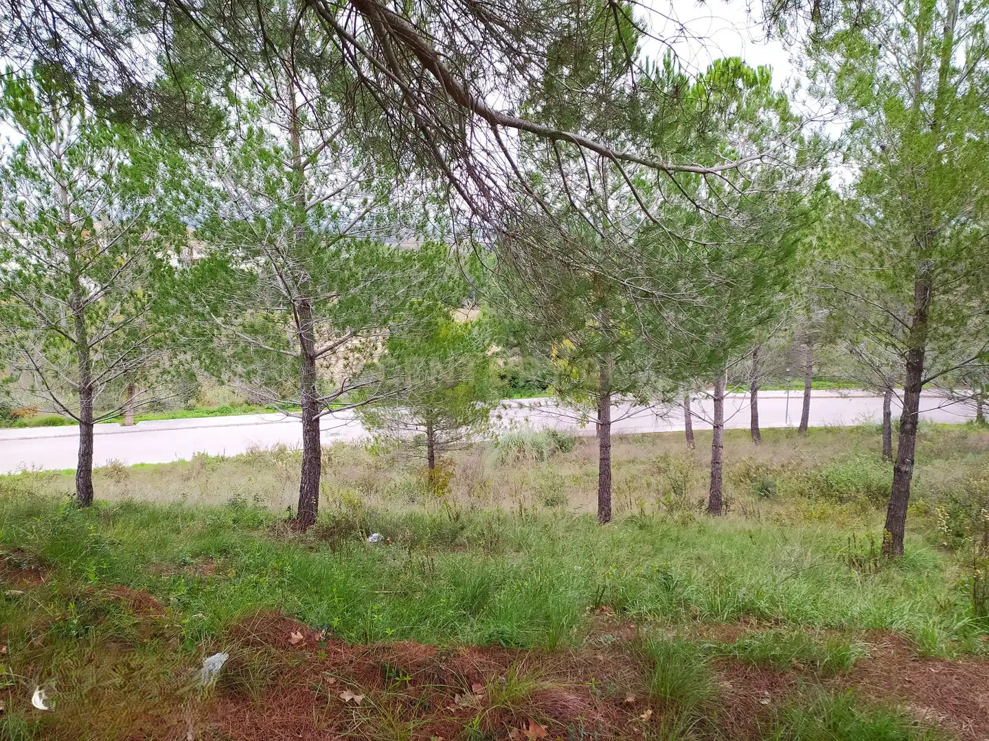 Residential land for sale in RONDA SOLEIA 22, imagen 8