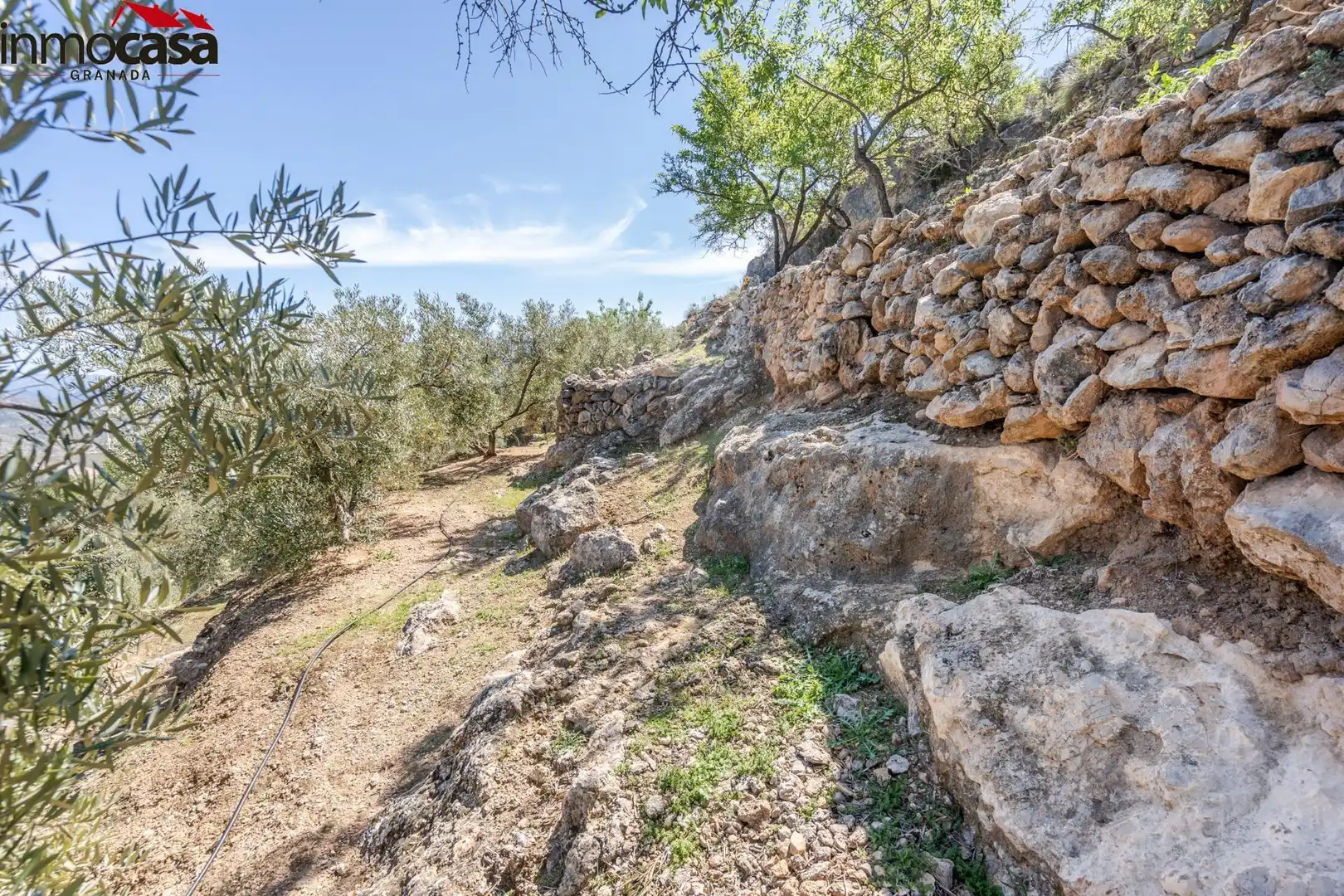 Land for sale in Lúcar