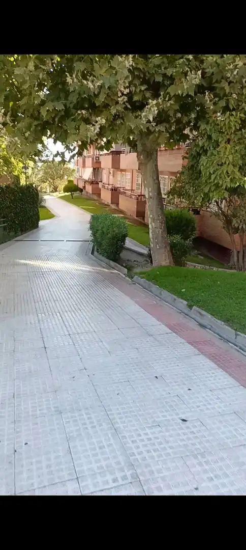 Flat with lift for sale in Calle HONORIO LOZANO, imagen 51