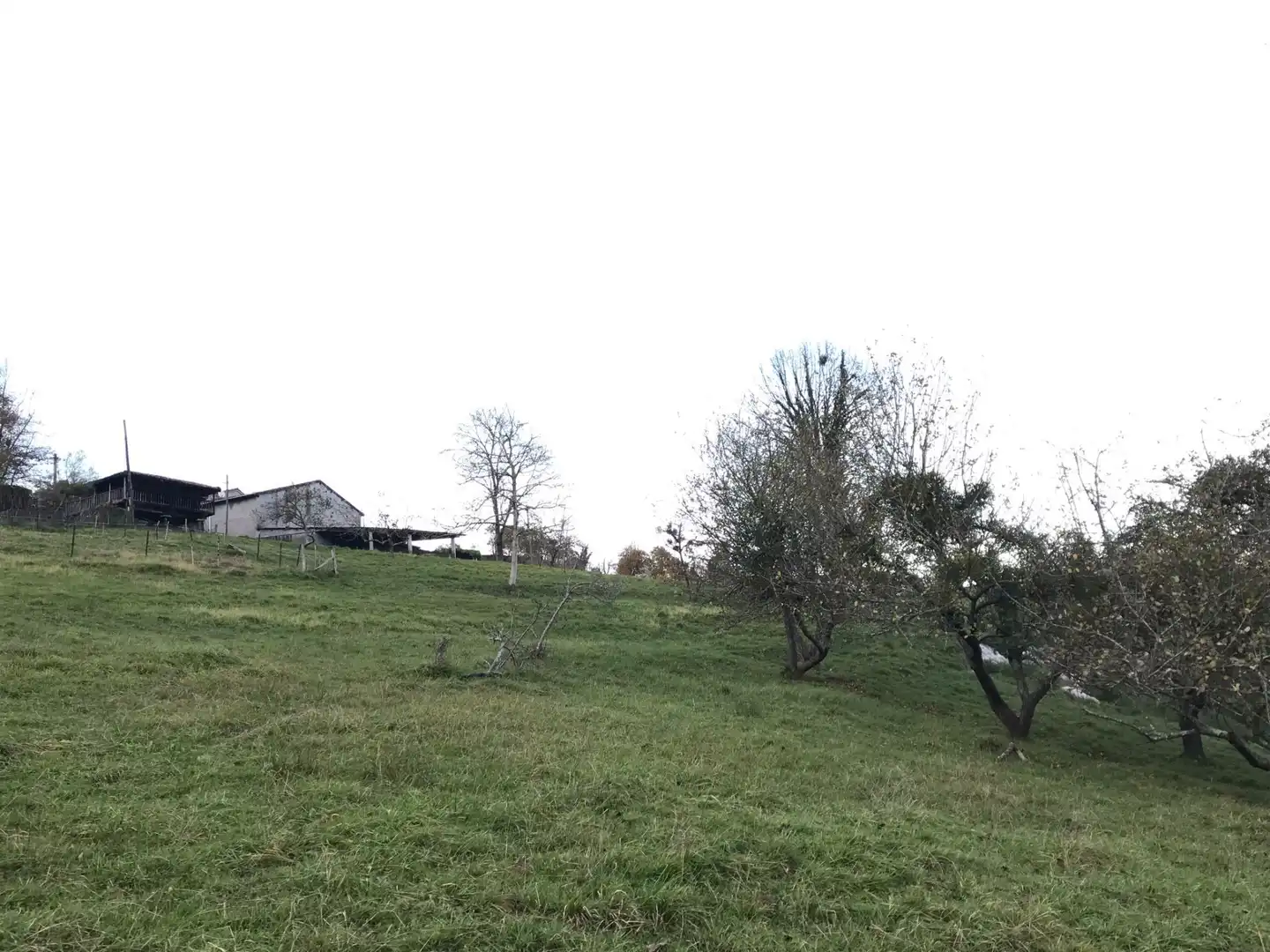 Terreni e lotti in vendita a Cangas de Onís, imagen 4