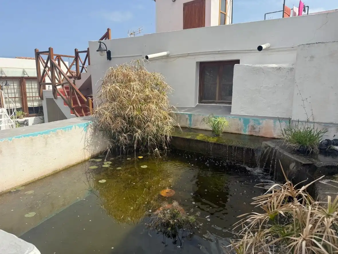 Country house for sale in Garachico, imagen 33