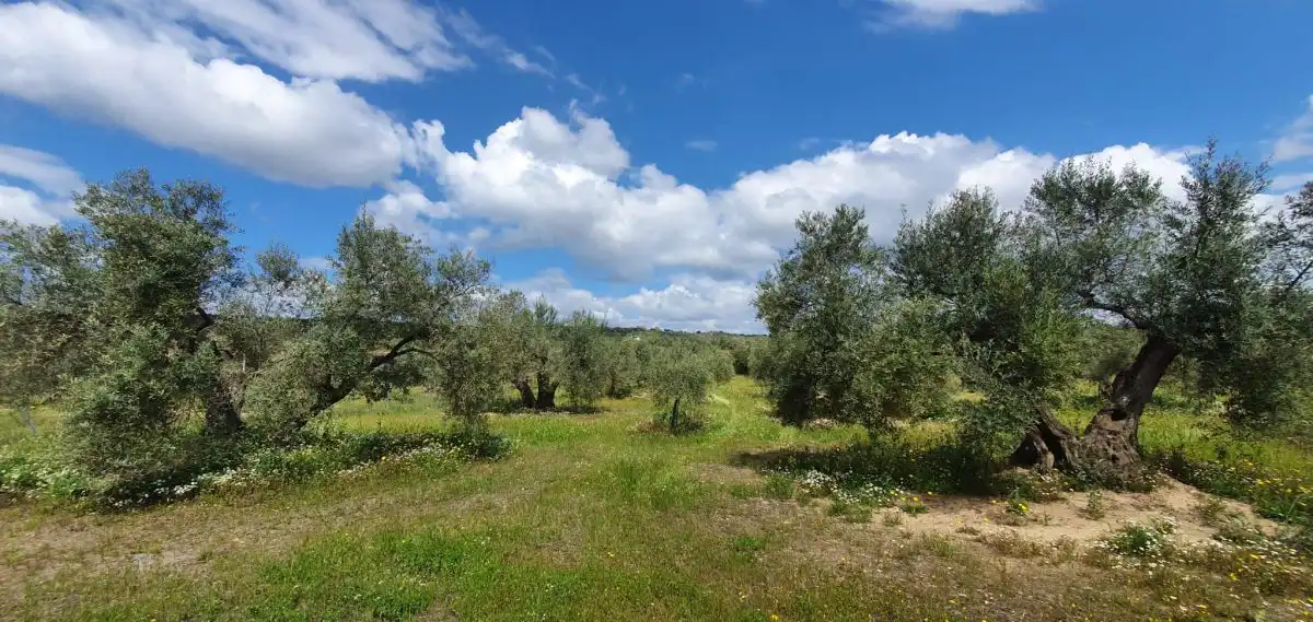 Country homes for sale in Bailén, Jaén