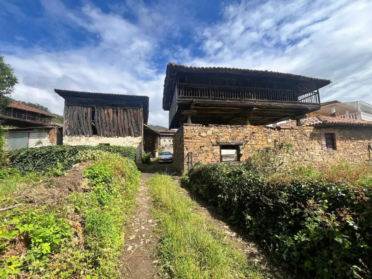 Vista exterior de Casa o chalet en venta en Salas con Calefacción y Trastero