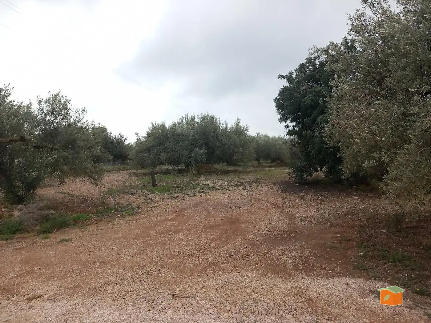 Terreno rustico in vendita a Alcanar, imagen 4