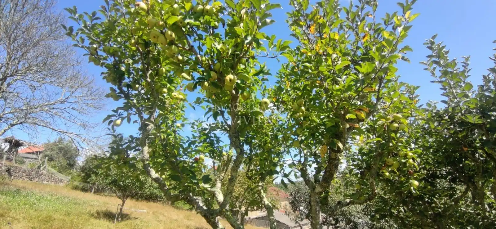 Jardí de Casa o xalet en venda en Moraña amb Calefacció i Jardí privat