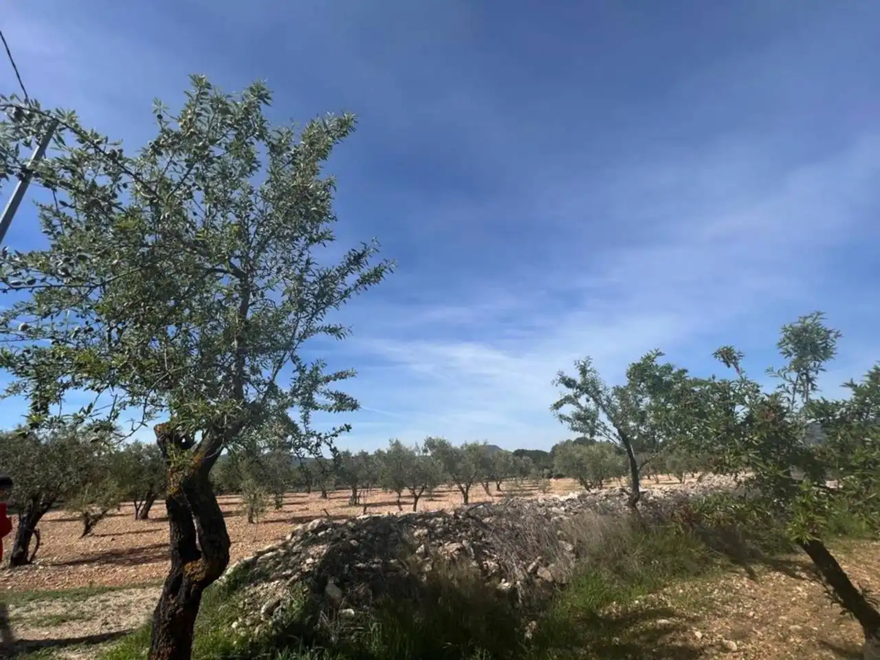 Chalet con jardín en venta en Calle Poligono, imagen 111