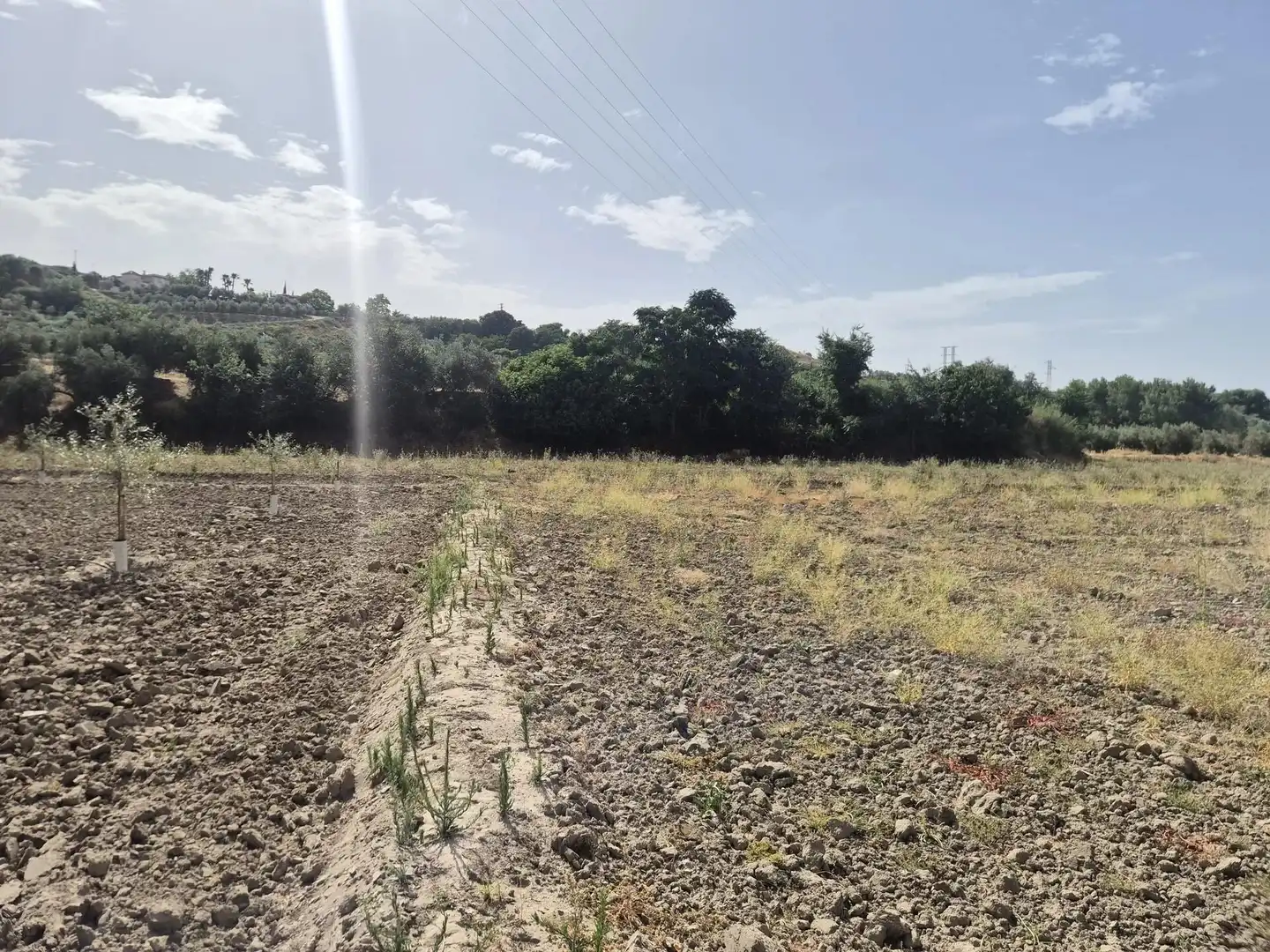 Terrain résidentiel à vendre à Loja, imagen 2