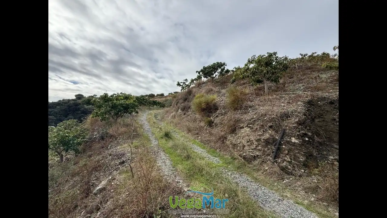 Terreny rústic en venda a Polígono 4, imagen 12