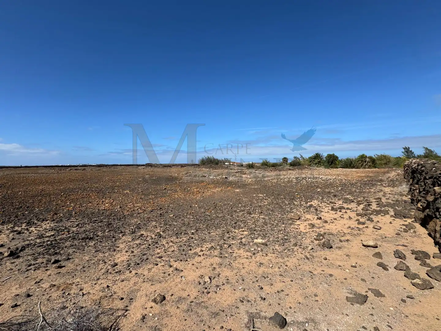 Land for sale in La Oliva