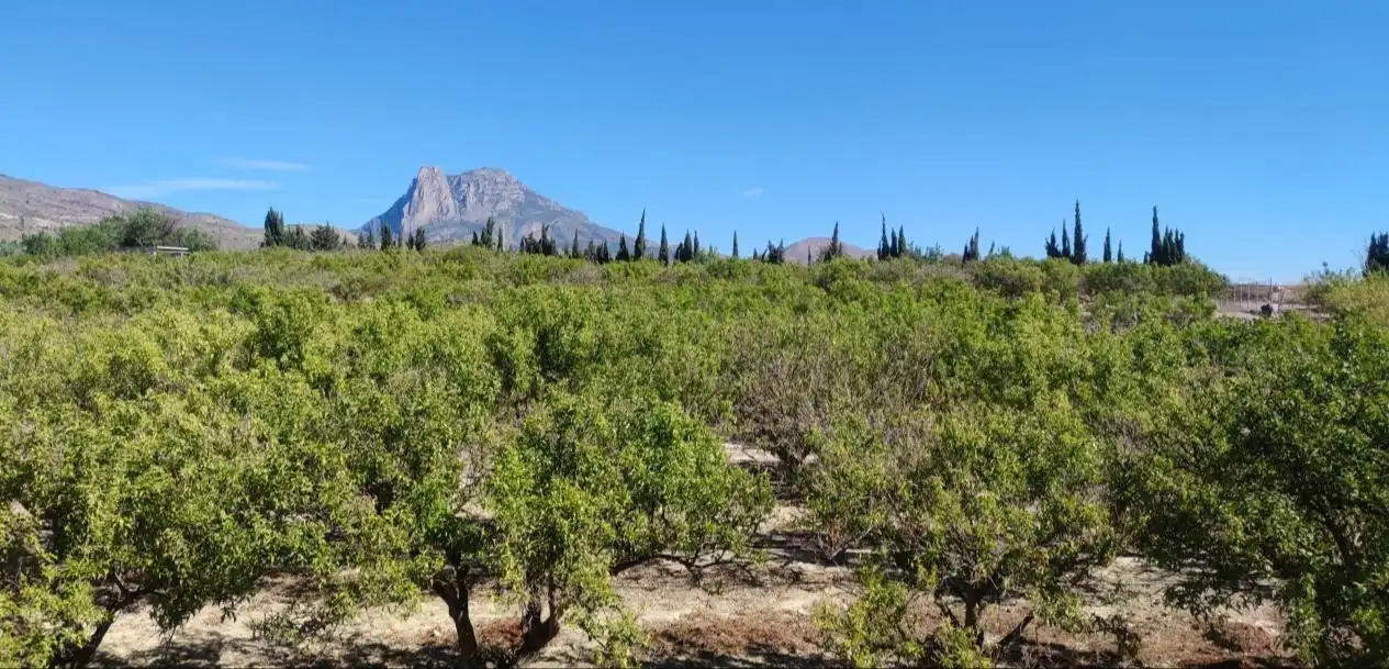 Finca rústica en venda en Villajoyosa / La Vila Joiosa amb Terrassa i Balcó