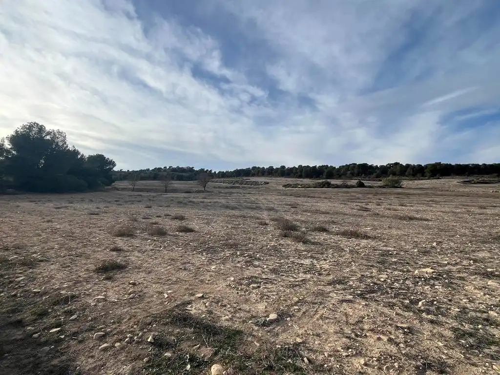 Terrenos y solares en venta en Hellín, imagen 4