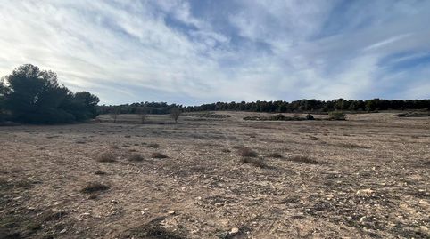 Finca rustica de 538 hectareas en la provincia de Albacete, immagine 4
