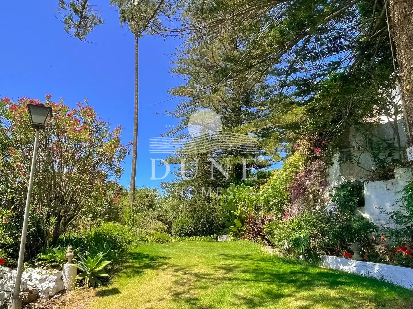 Garden of Country homes for sale in Algeciras  with Private garden, Terrace and Storage room