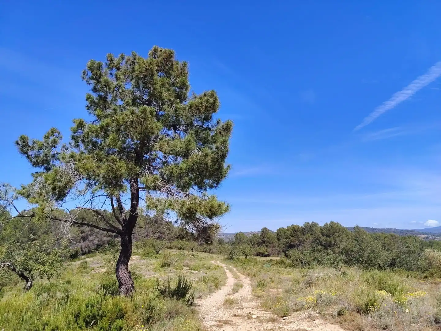 Houses for sale in Navarrés  with Air Conditioner, Private garden and Storage room