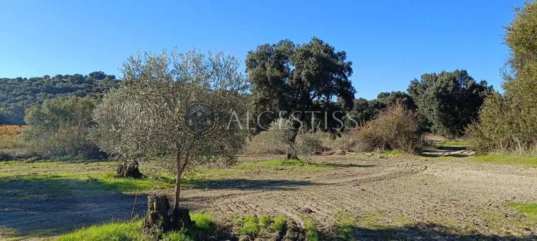 Terreno rústico en venta en Villamanta, imagen 8