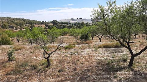 Foto 3 de Residencial en venda a Les Alqueries 7 Partida.numero 6 Polígono 6 Parcel, Santa Ana, Ontinyent