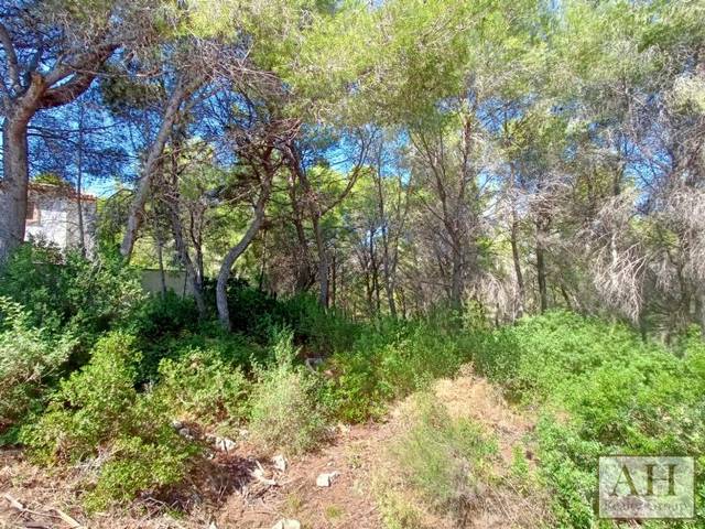 Terreno residencial en Venta en La Empedrola