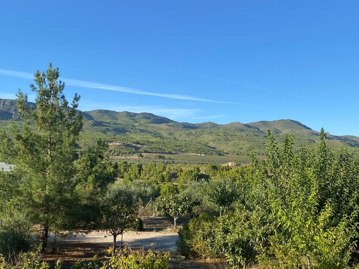 Terrain rustique à vendre à Moratalla, imagen 6