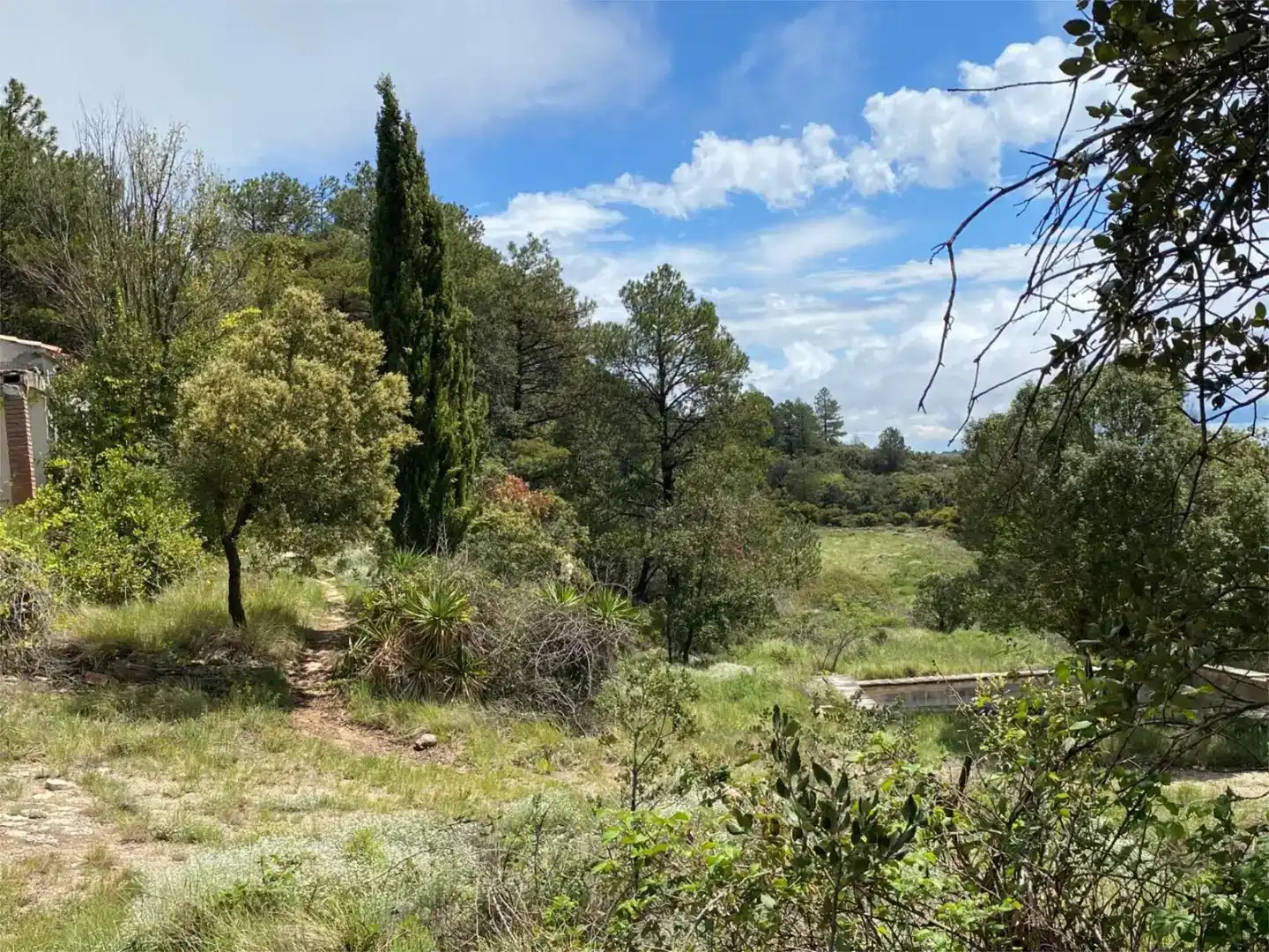 Finca rústica en venda en Arbolí amb Jardí privat