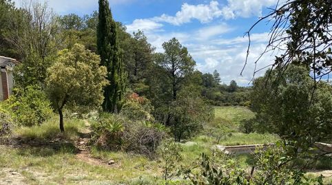 Foto 5 de Finca rústica en venda a Tv-7092, 12, Arbolí, Tarragona