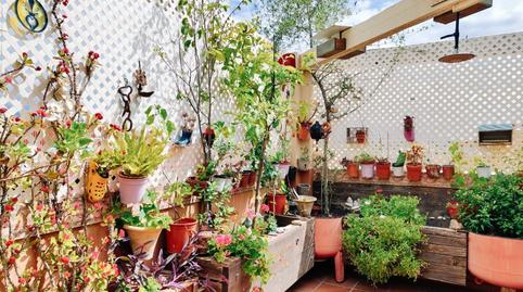 Photo 4 of Attic for sale in San Pedro de Alcántara pueblo, Málaga