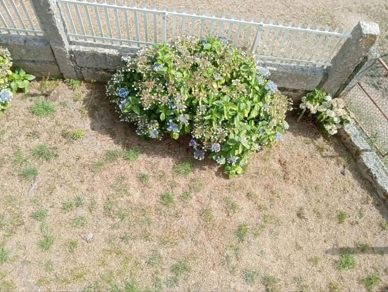 Garden of Houses for sale in Nogueira de Ramuín  with Heating, Private garden and Storage room