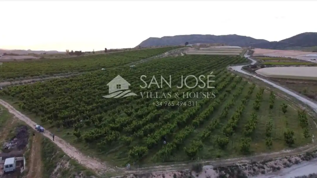 Terreno residencial en venta en Monforte del Cid, imagen 2