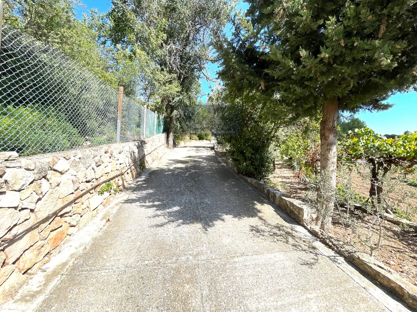 Villa con terrazza in vendita a Cervelló, imagen 42