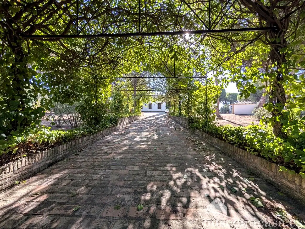 Maison rustique avec piscine à vendre à Santuario Virgen de la Cabeza, imagen 32
