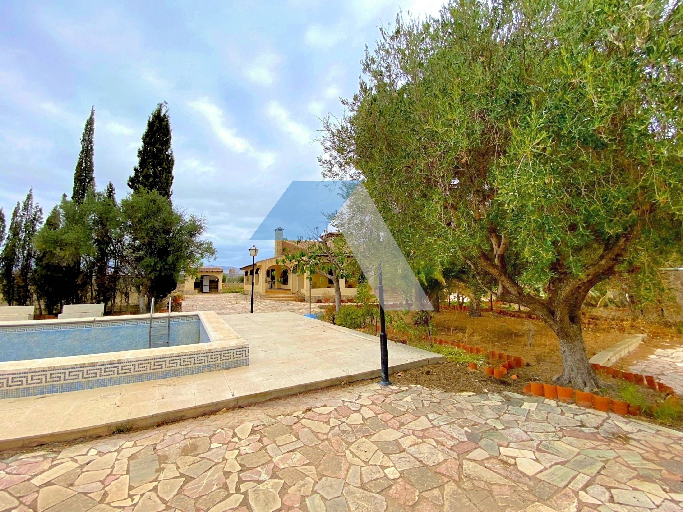 Exterior view of House or chalet for sale in San Vicente del Raspeig / Sant Vicent del Raspeig  with Private garden and Swimming Pool