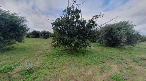 Foto 2 de Finca rústica en venta en Aldea del Fresno, Madrid
