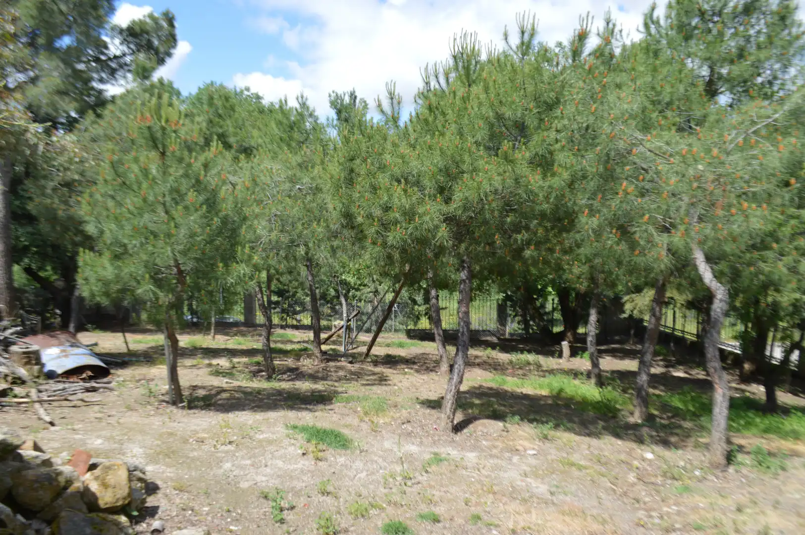 Casa o chalet en venta en Batres con Calefacción, Jardín privado y Terraza