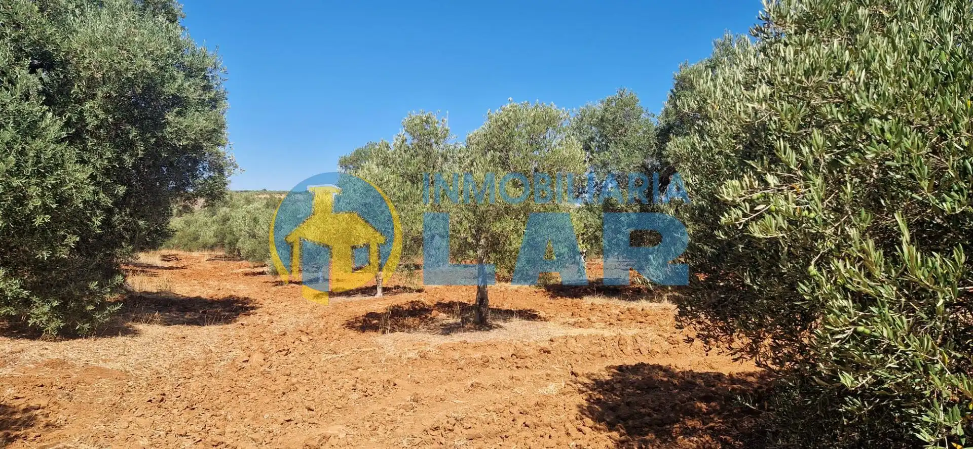 Finca rústica en venda en Niebla