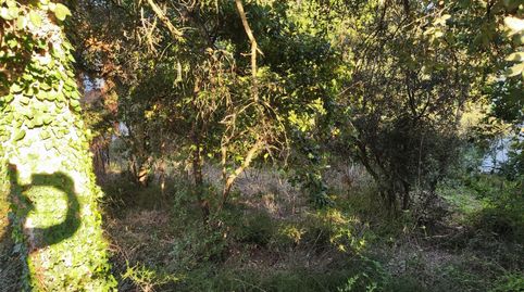 Parcela a la venta en Selvabrava, immagine 2