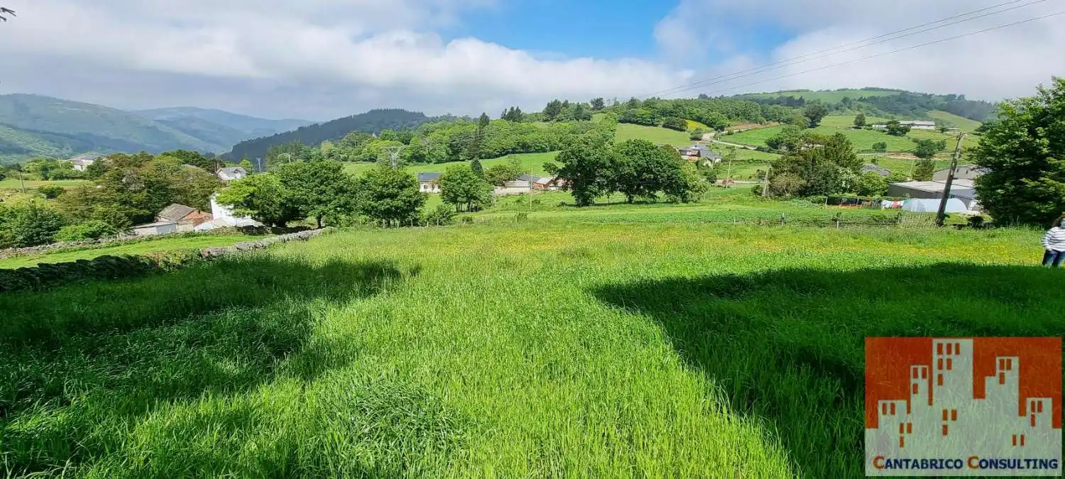 Finca rústica en venta en Boal con Trastero