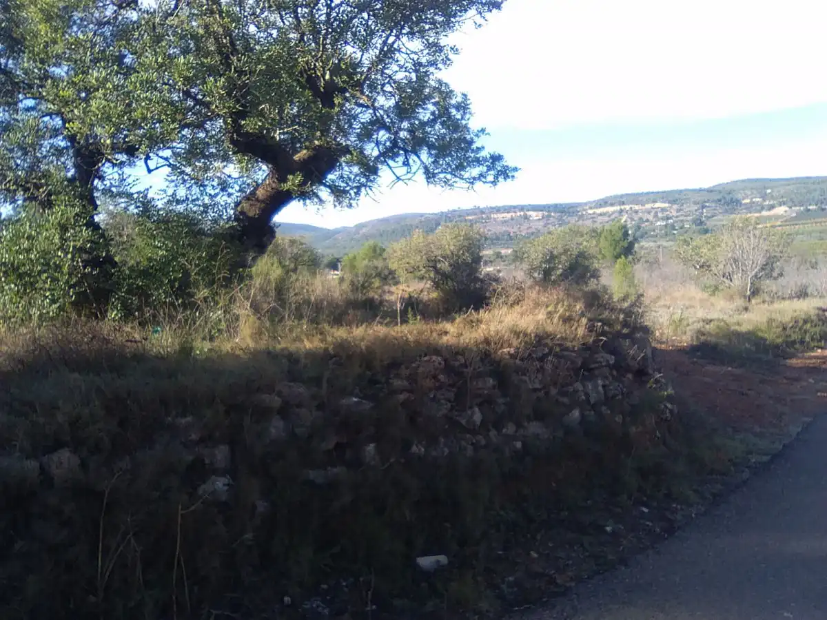 Terreno residencial en venta en Algímia de Alfara, imagen 5