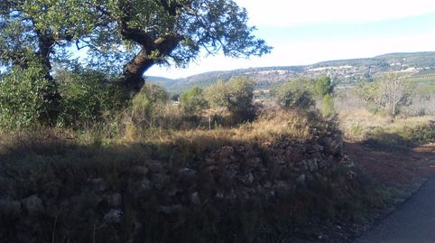Terreno Rústico en venta en Algimia De Alfara., imatge 5
