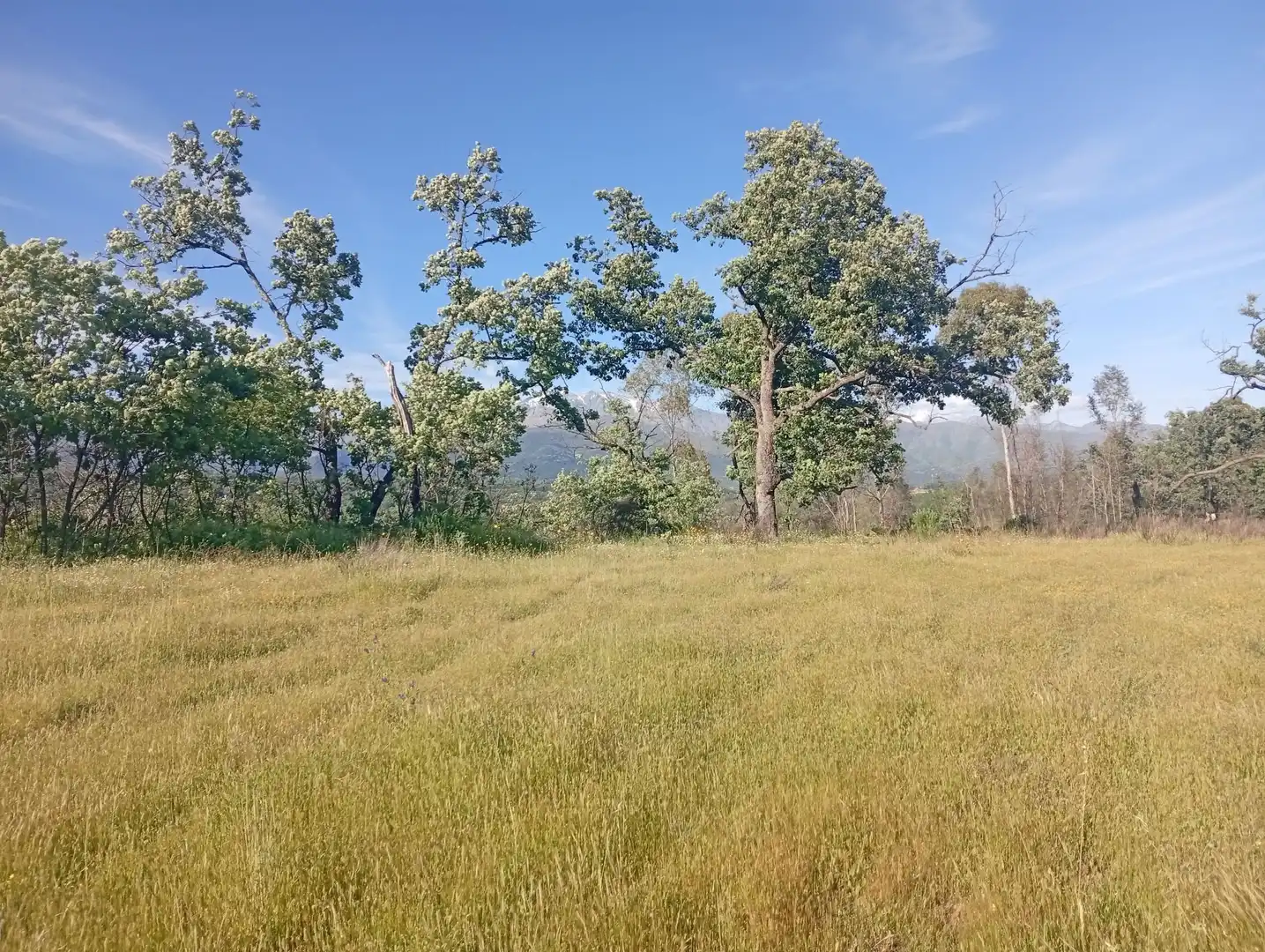 Terreni e lotti in vendita a Villanueva de la Vera, imagen 64