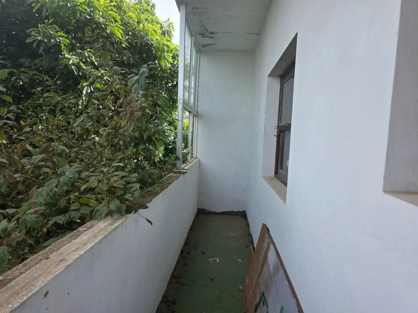Gewerbefläche zum Verkauf in Tacoronte - Los Naranjeros, imagen 37